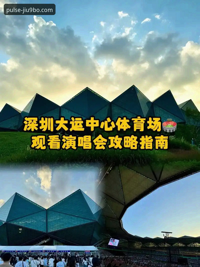 9博体育平台安卓版下载安装实用指南:新版本功能详解与操作技巧