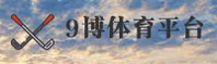 使用指南与常见问题